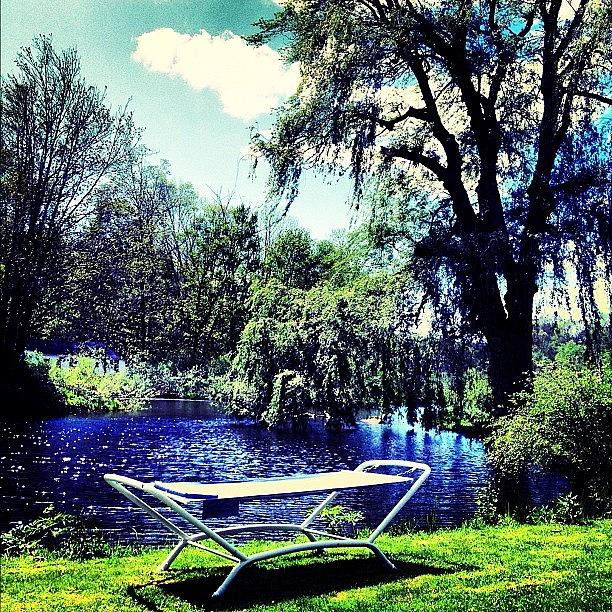 Pond Photograph - Green Season, Lounging By The Pond by Anne Marie