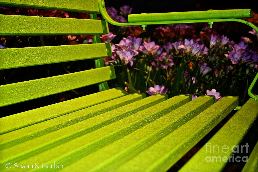 Green Seat Photograph by Susan Herber