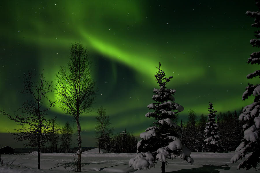 Lights Photograph - Green Skies by Ronald Lafleur