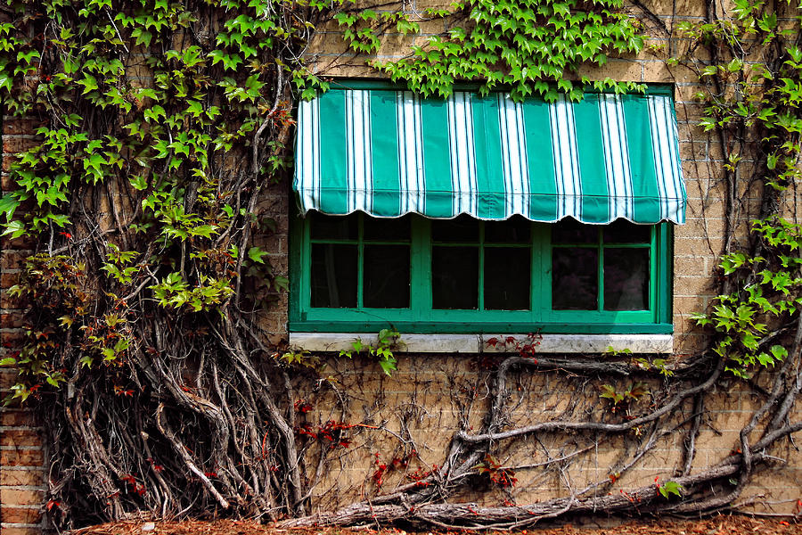 Green Striped Awning Photograph by Richard Gregurich