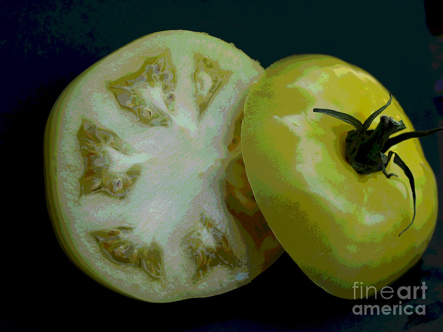 Green Tomato  Photograph by Jacklyn Duryea Fraizer
