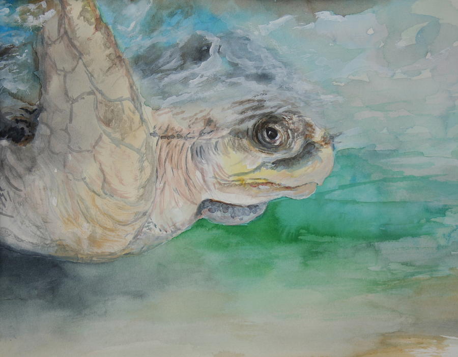 Green Turtle Painting by Jan Lowe - Fine Art America