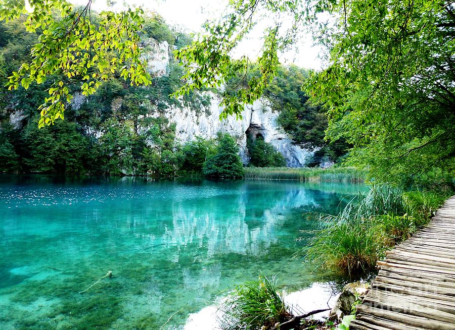 Green Waters of Plitvice Lakes Photograph by Amalia Suruceanu
