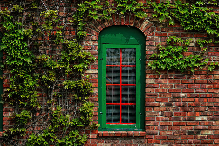 Green Window Frame Photograph by Richard Gregurich