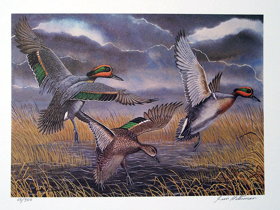 Green Winged Teal Duck Painting - Green Winged Teal Duck by Jim Hitesman