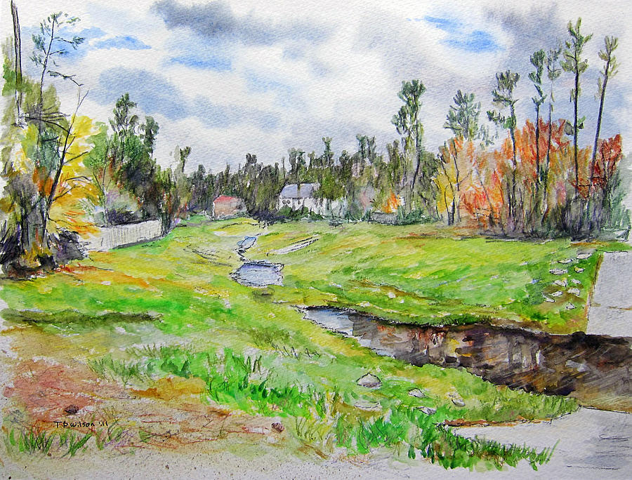 Greenbelt in The Woodlands Painting by TD Wilson