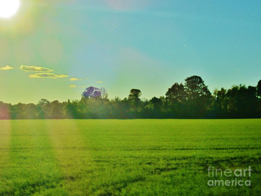 Greenfields Photograph by Judy Via-Wolff