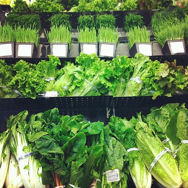 Vegetable Photograph - Greens by Cassie OToole
