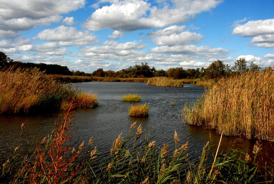 Greenwich nj 2 Photograph by Steven DeFelice - Fine Art America