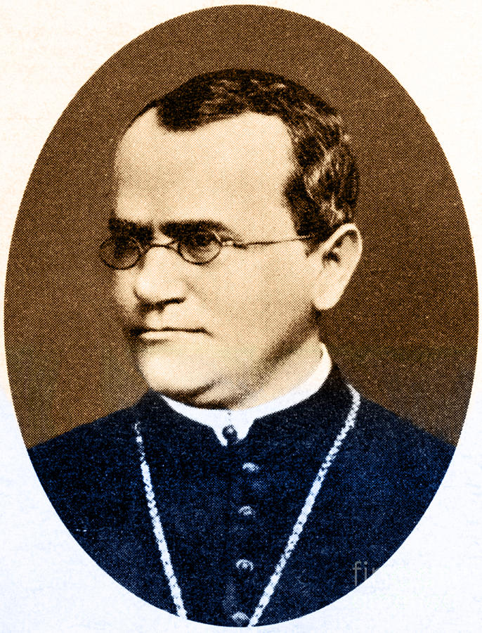 Gregor Mendel, Father Of Genetics Photograph by Science Source