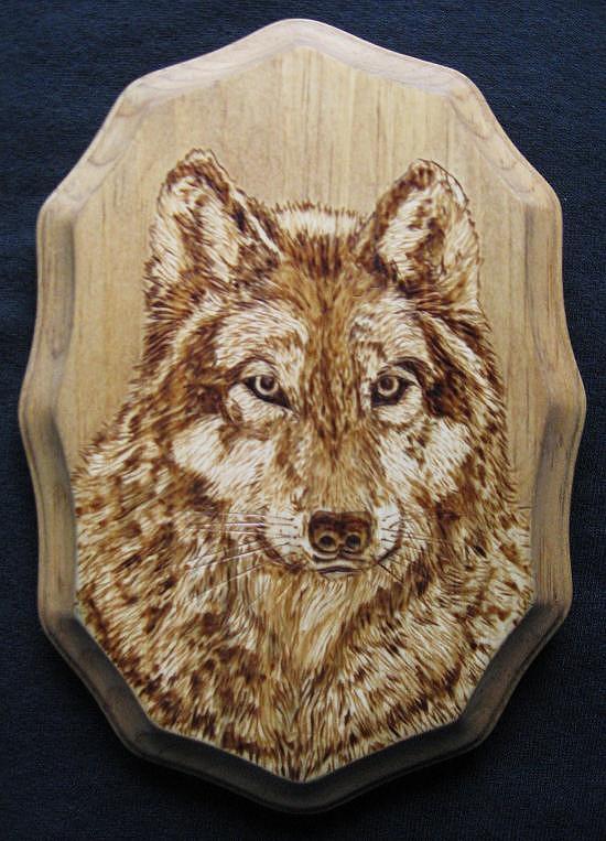 Grey Wolf Pyrography by Bob Renaud - Fine Art America