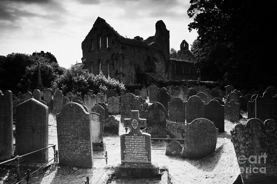County Down Photograph - Greyabbey Abbey Ruin Graveyard Cemetary Ireland by Joe Fox