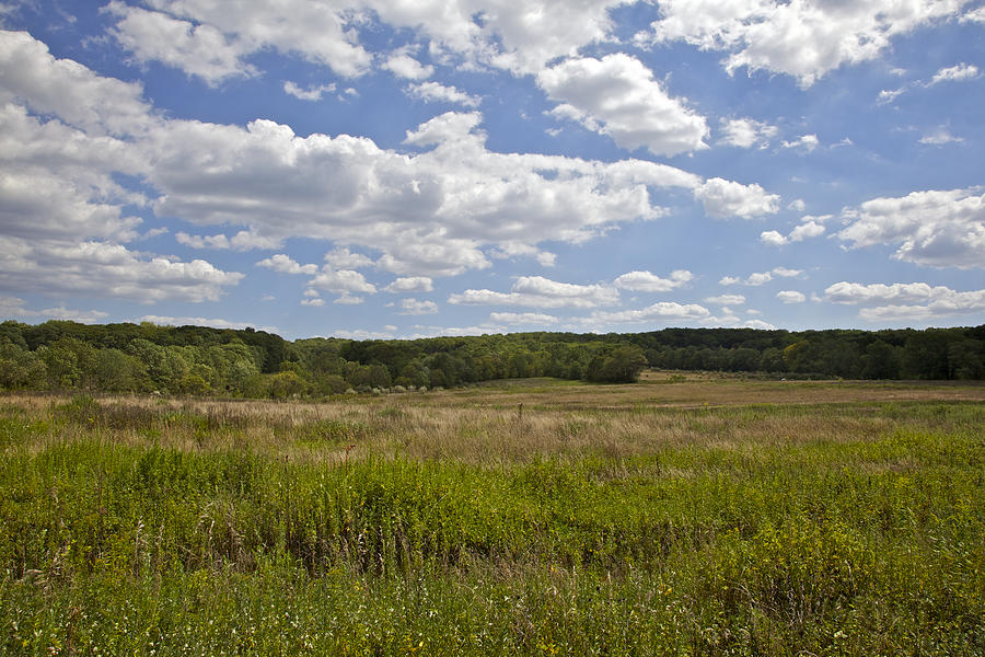 Griggstown Native Grassland Preserve Photograph by David Letts Griggstown Native Grassland Preserve Photograph by David Letts