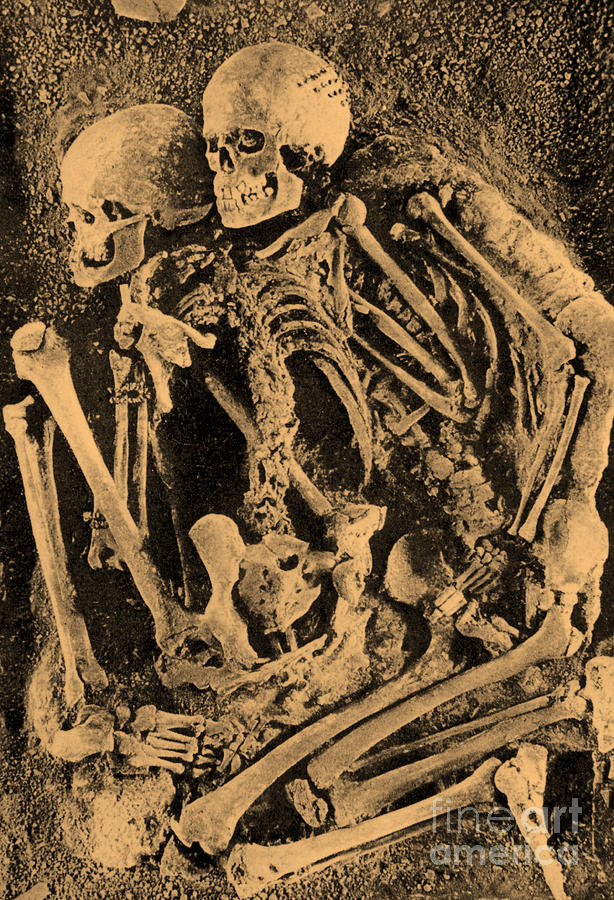 Grimaldi Skeletons Photograph by Science Source