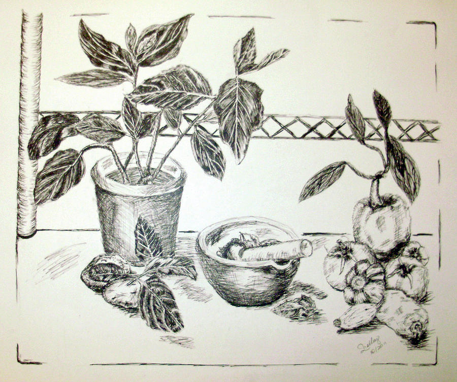 Grinding Herbs Drawing by Shelley Bain