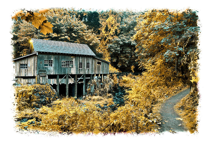 Black And White Photograph - Grist Mill Yellow  by Steve McKinzie