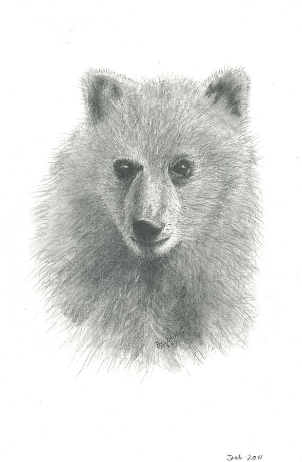 Grizzly Bear 2 Drawing by EJ John Baldwin