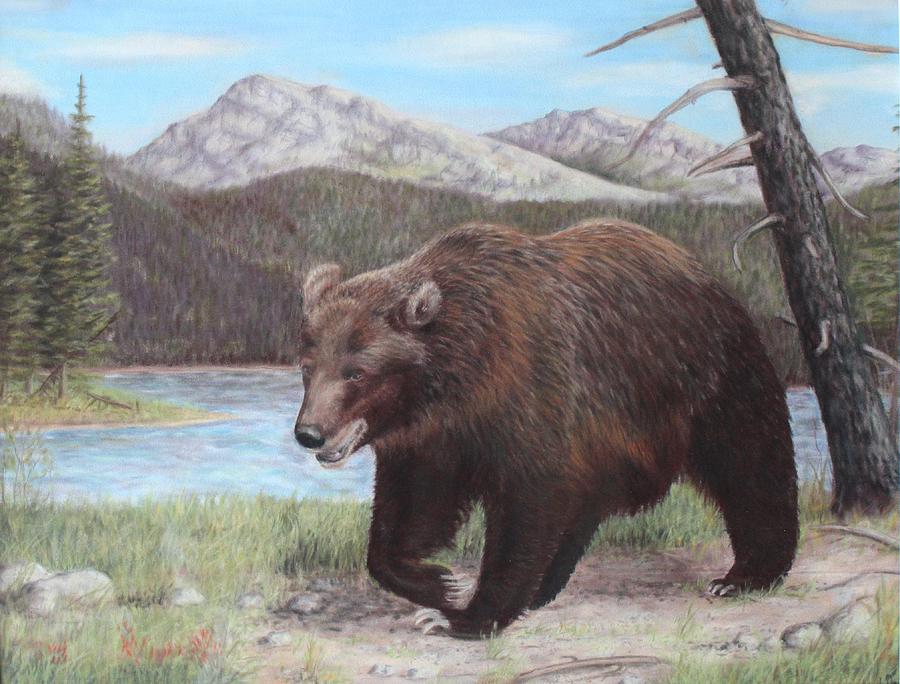 Grizzly Painting by Sabina Bonifazi