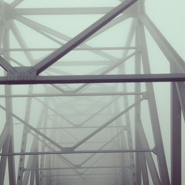 Gross, Foggy Day. Blah Photograph by Niki Jones