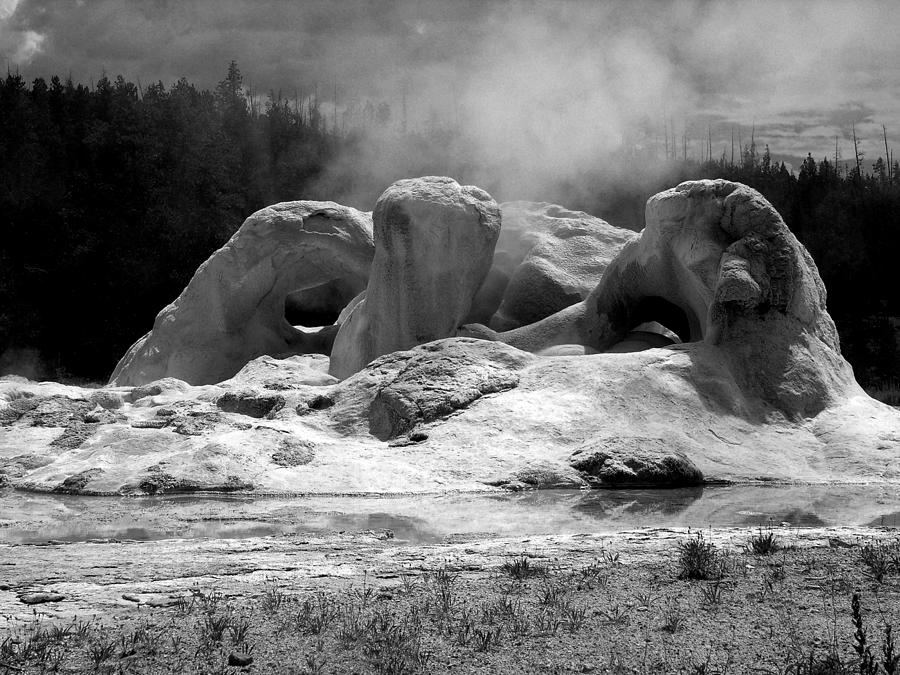 Yellowstone National Park Photograph - Grotto Geyser by Steven Ainsworth