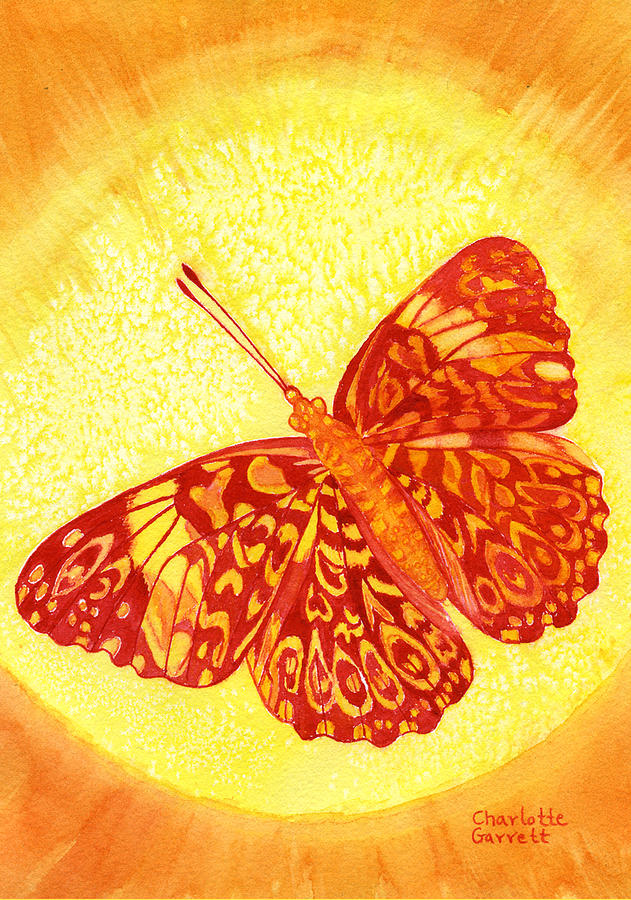 Grounded Butterfly by Charlotte Garrett Grounded Butterfly by Charlotte Garrett