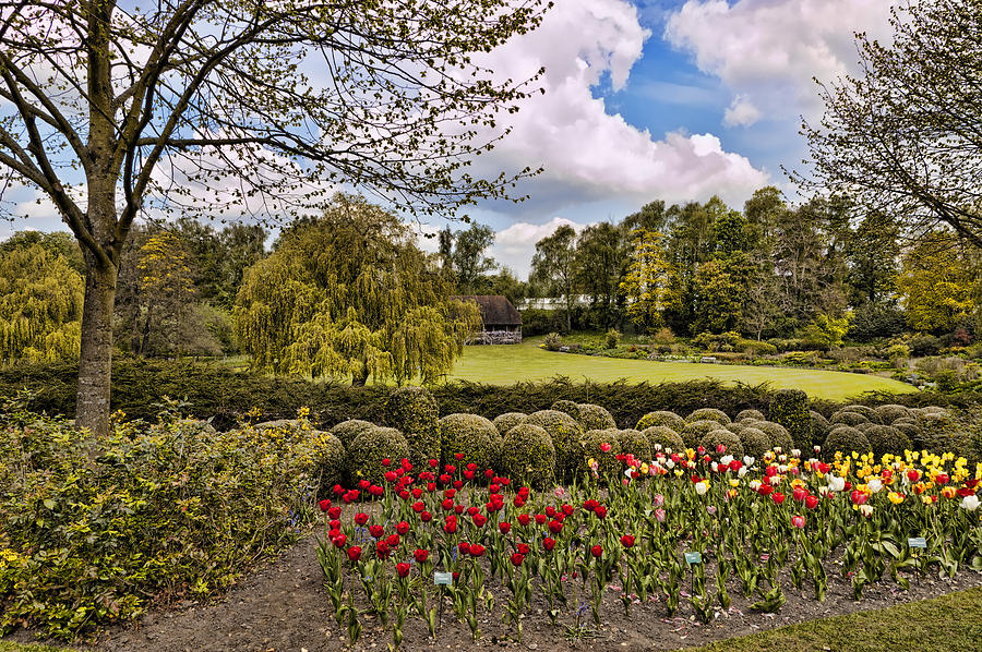 Flower Photograph - Grounds at Leeds Castle  by Jon Berghoff