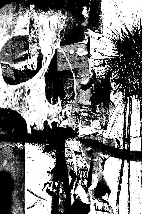 Grunge Skull  Photograph by Roseanne Jones