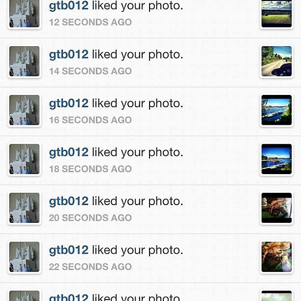 @gtbo12 Thanks For All The Likes And Photograph by Jessica Harrison