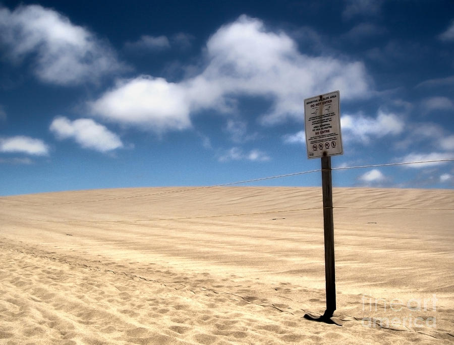 Beach Photograph - Guadalupe Dunes - 02 by Gregory Dyer