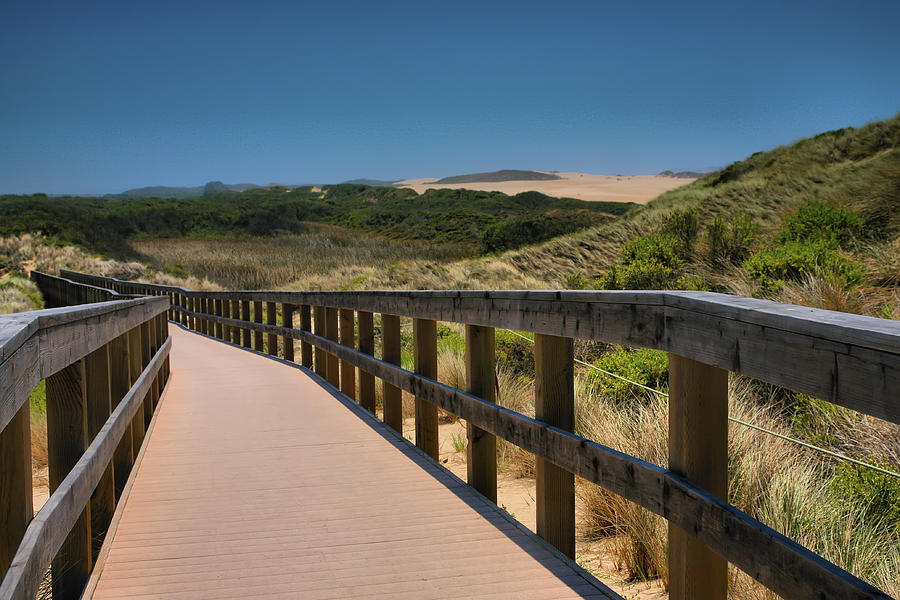 Guadalupe-Nipomo Dunes Preserve Boardwalk I  Photograph by Steven Ainsworth