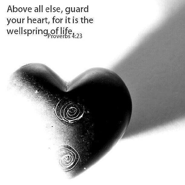 Proverbs Photograph - Guard Your Heart #proverbs #heart #life by Luke Reynolds