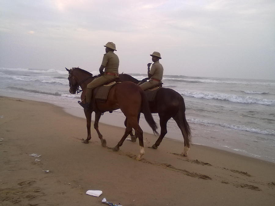 Guardians on the beach Photograph by Asha Sudhaker Shenoy