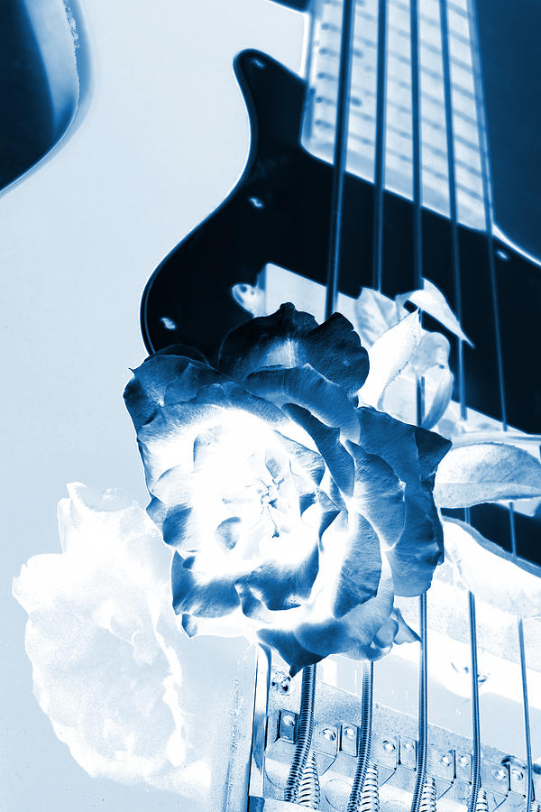 Guitar Rose Blue Tint Photograph by M K Miller