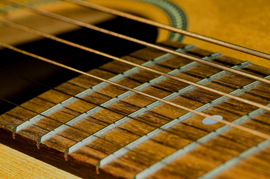 Guitar Strings Photograph by C Ribet