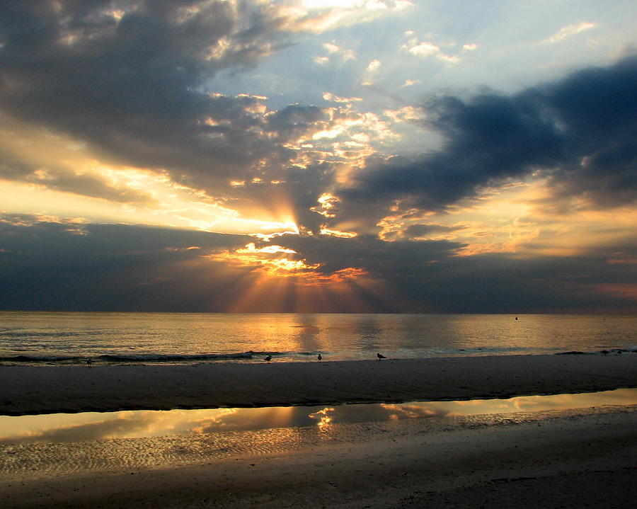 Gulf Coast Sunset Photograph By Carla Parris Fine Art America