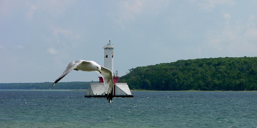 Lighthouse Photograph - Gull and Lighthouse by Keith Stokes
