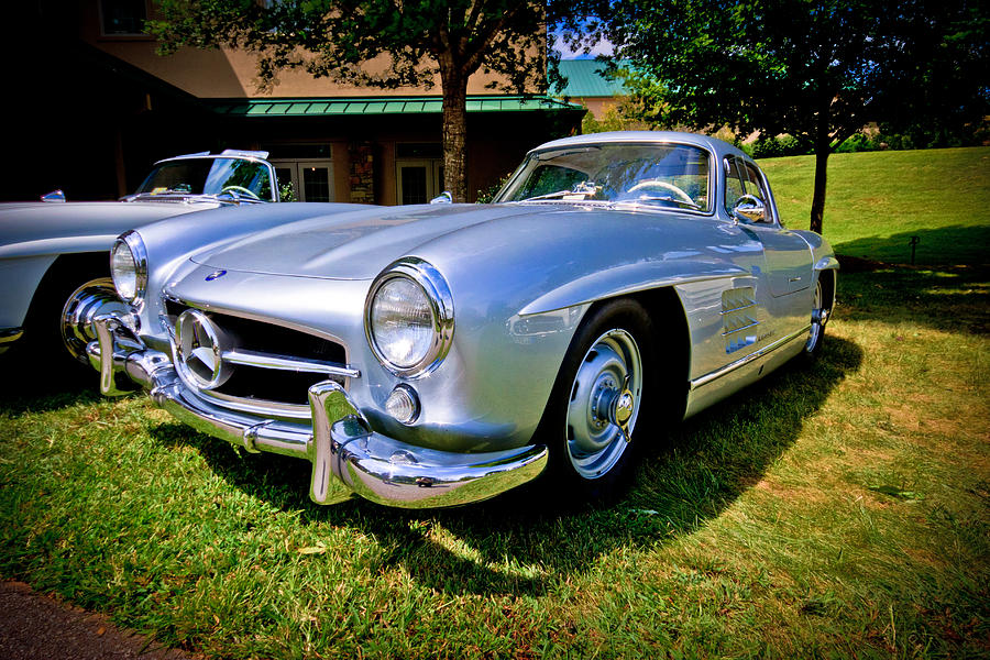 Gullwing Photograph by Ches Black