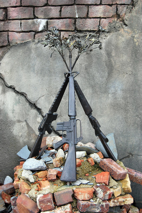 Guns Of War - color Photograph by Lora Mercado