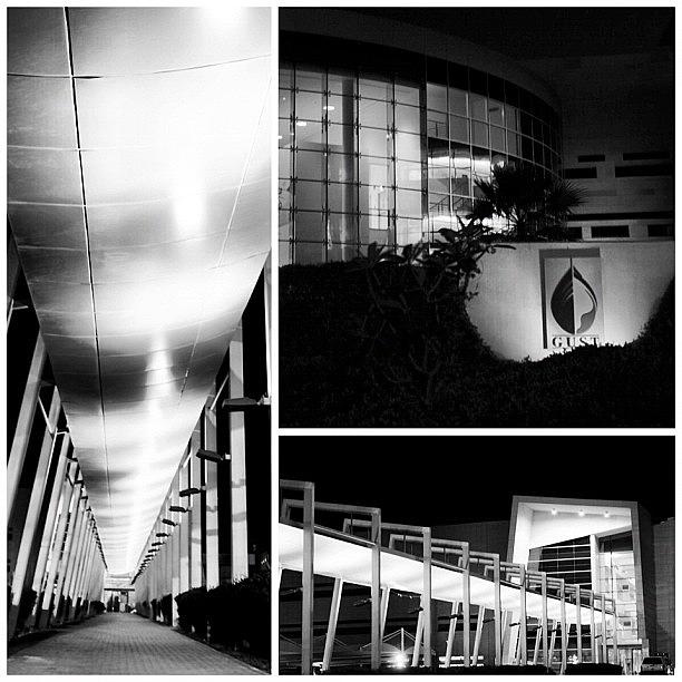 University Photograph - Gust Campus by Ghada Abdulkhaleq