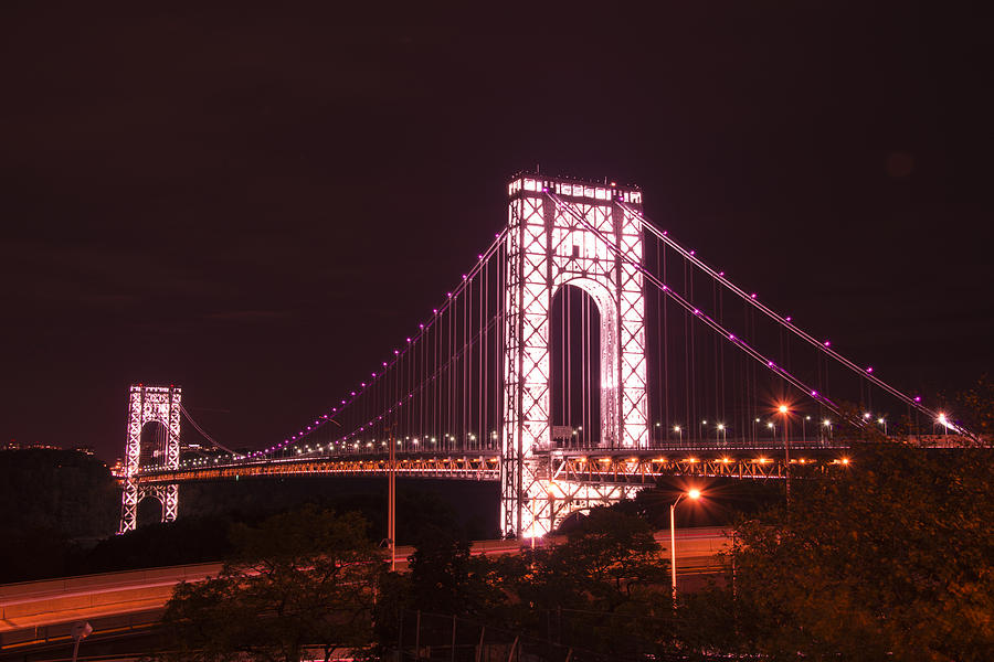 GWB for Breast Cancer Awareness Photograph by Theodore Jones