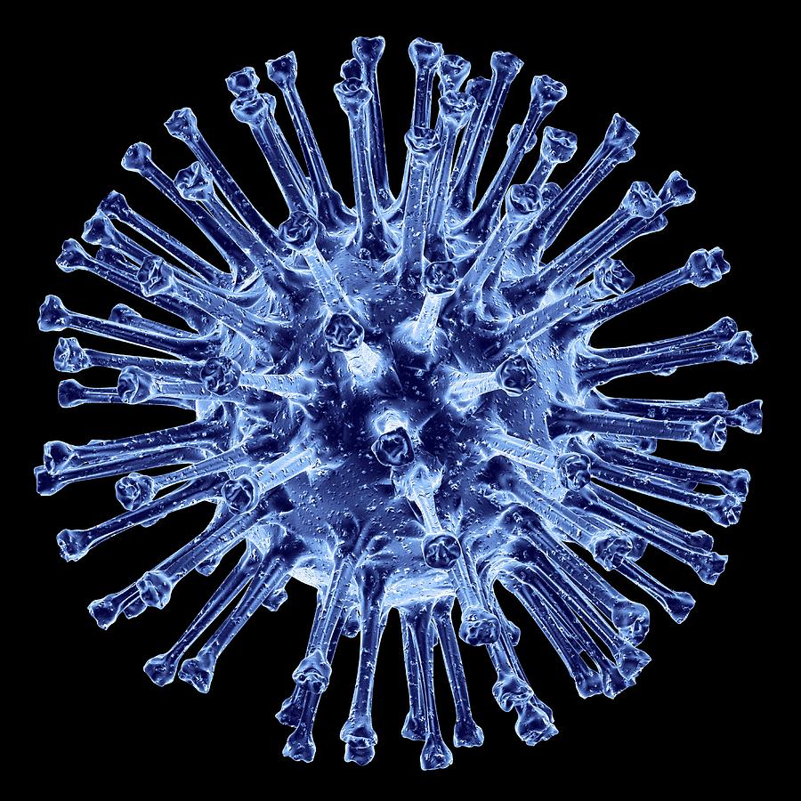 H1n1 Flu Virus Particle, Artwork Photograph by Pasieka