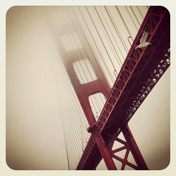 Sanfrancisco Photograph - Had A Fantastic Day With My Dad In Sf- by Gabbi Bauer