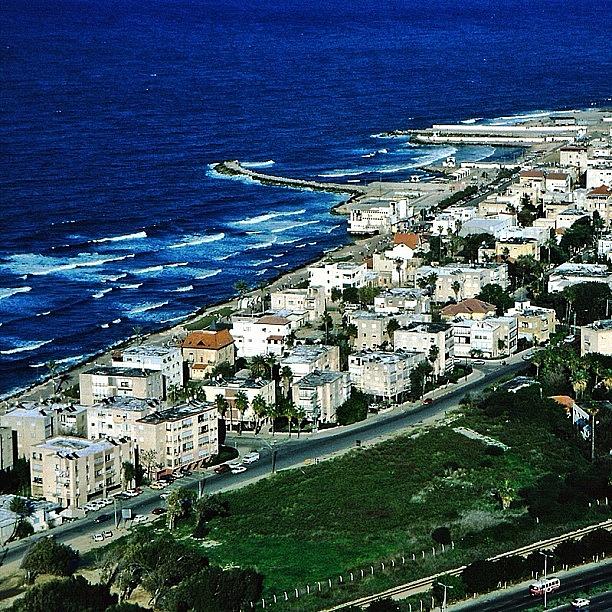 Beautiful Photograph - Haifa From Carmel #haifa #israel by Shelley Walsh