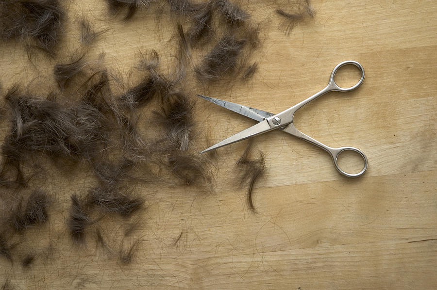 Hair and scissors on table Photograph by Matthias Hauser