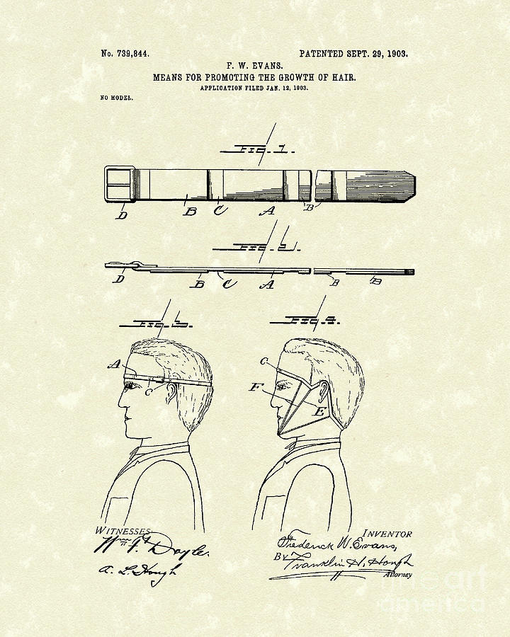 Hair Growth System 1903 Patent Art Drawing by Prior Art Design