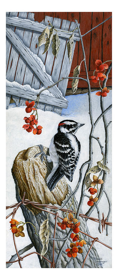 Landscape Painting - Hairy Woodpecker and Bittersweet by David Besenger