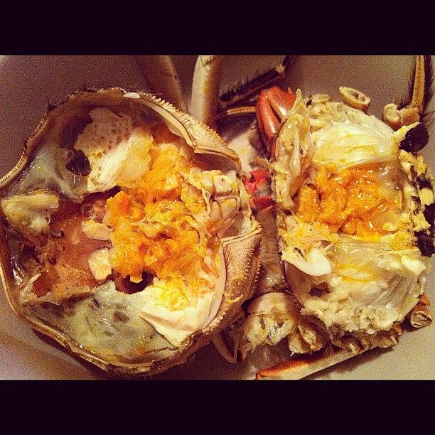 Yummy Photograph - #hairycrab #shanghaicrab #crab #seafood by TC Li