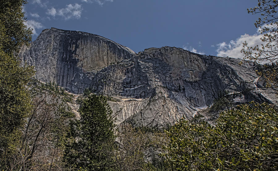 Half Dome Framed by Trees Photograph by Gregory Scott