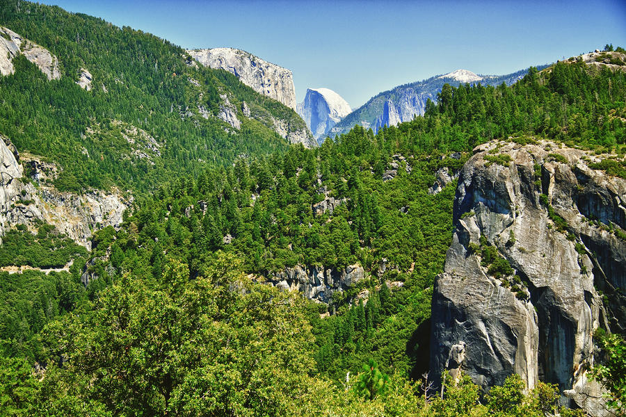 Half Dome from Big Oak Flat Rd Photograph by Levin Rodriguez