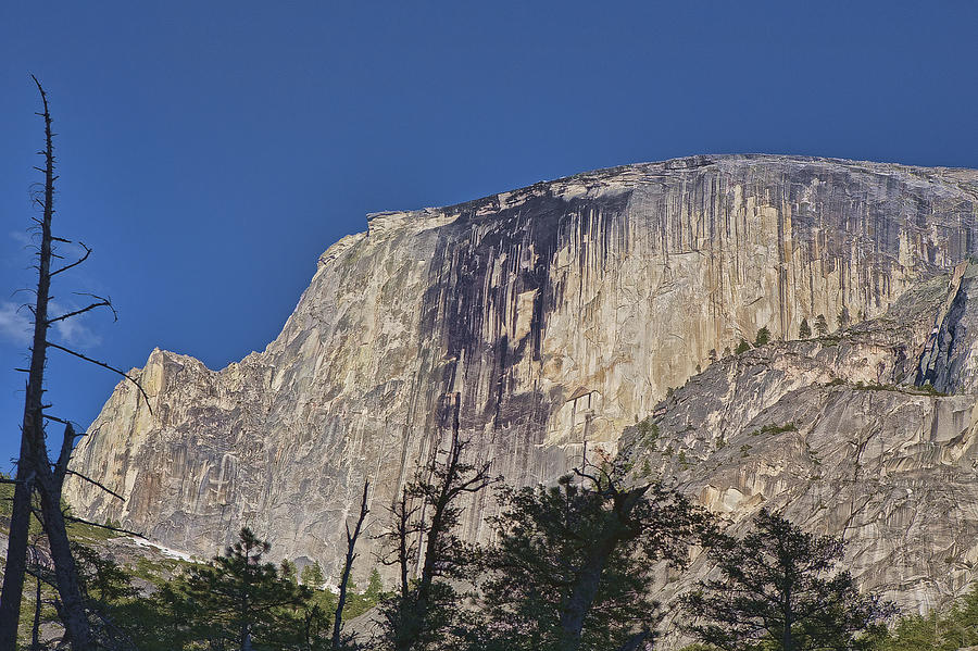 Half Dome Photograph by Gregory Scott